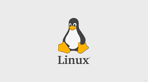 첫 Linux 기여